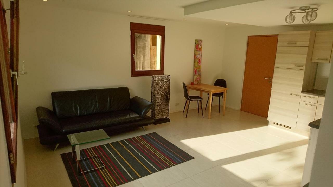 Ferienwohnung Duttental ツットリンゲン エクステリア 写真